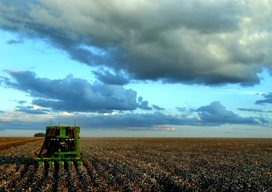 Máquina agrícola trabalhando em plantação brasileira